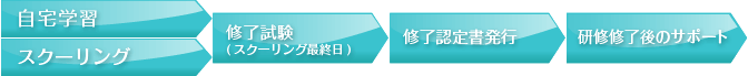自宅学習→実技スクーリング(7日間)→実習(5日間)→修了認定書発行→研修修了後のサポート